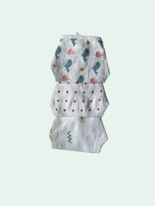 Blue Whale Nappy set of 3